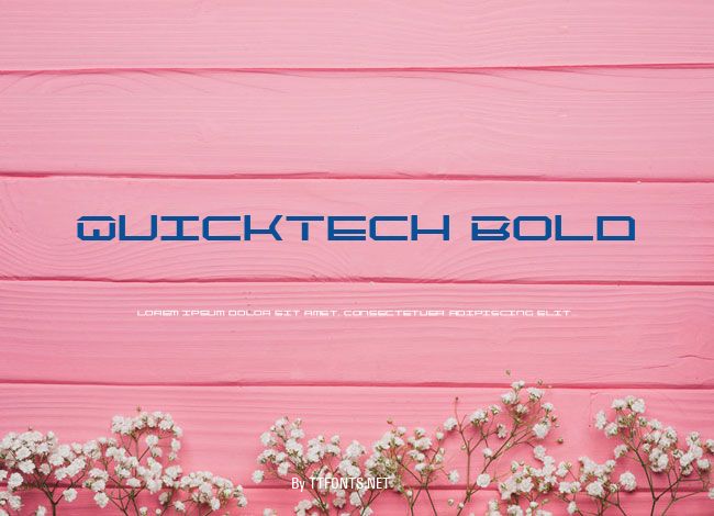 QuickTech Bold example